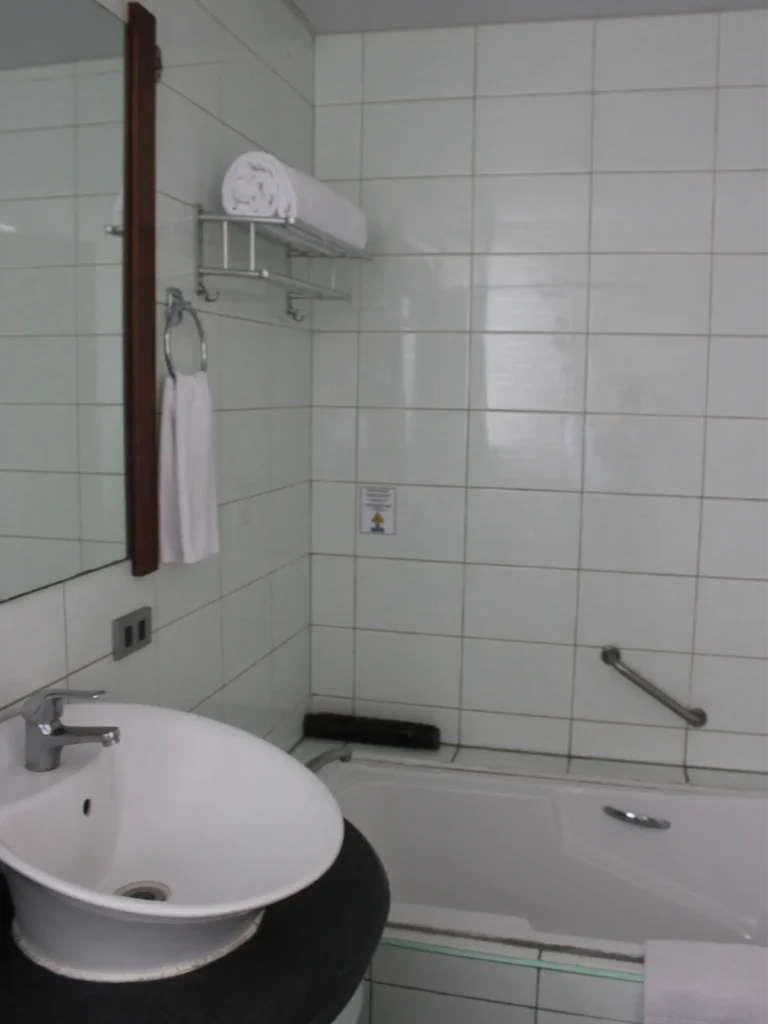 Premiere Room - Photo 20